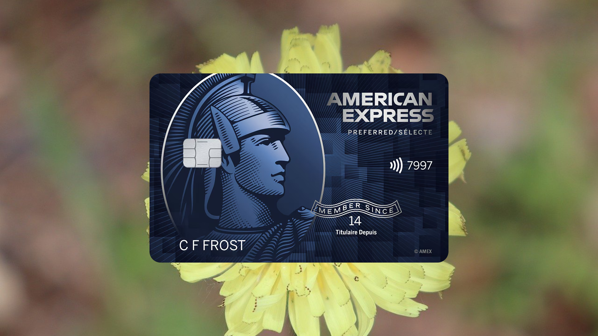 How to Apply for AMEX SimplyCash Preferred Card from American Express
